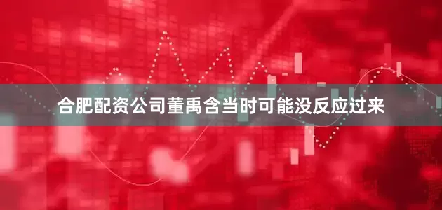 合肥配资公司董禹含当时可能没反应过来