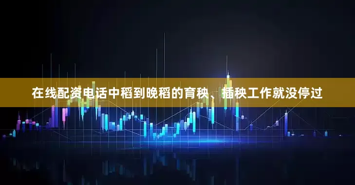 在线配资电话中稻到晚稻的育秧、插秧工作就没停过